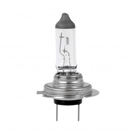 Halogenlampe M-TECH H7 PX26d 55W 12V