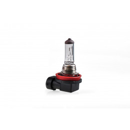 Halogenlampe M-TECH H11 PGJ19-2 55W 12V