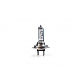 Halogenlampe M-TECH H7 PX26d 100W 24V